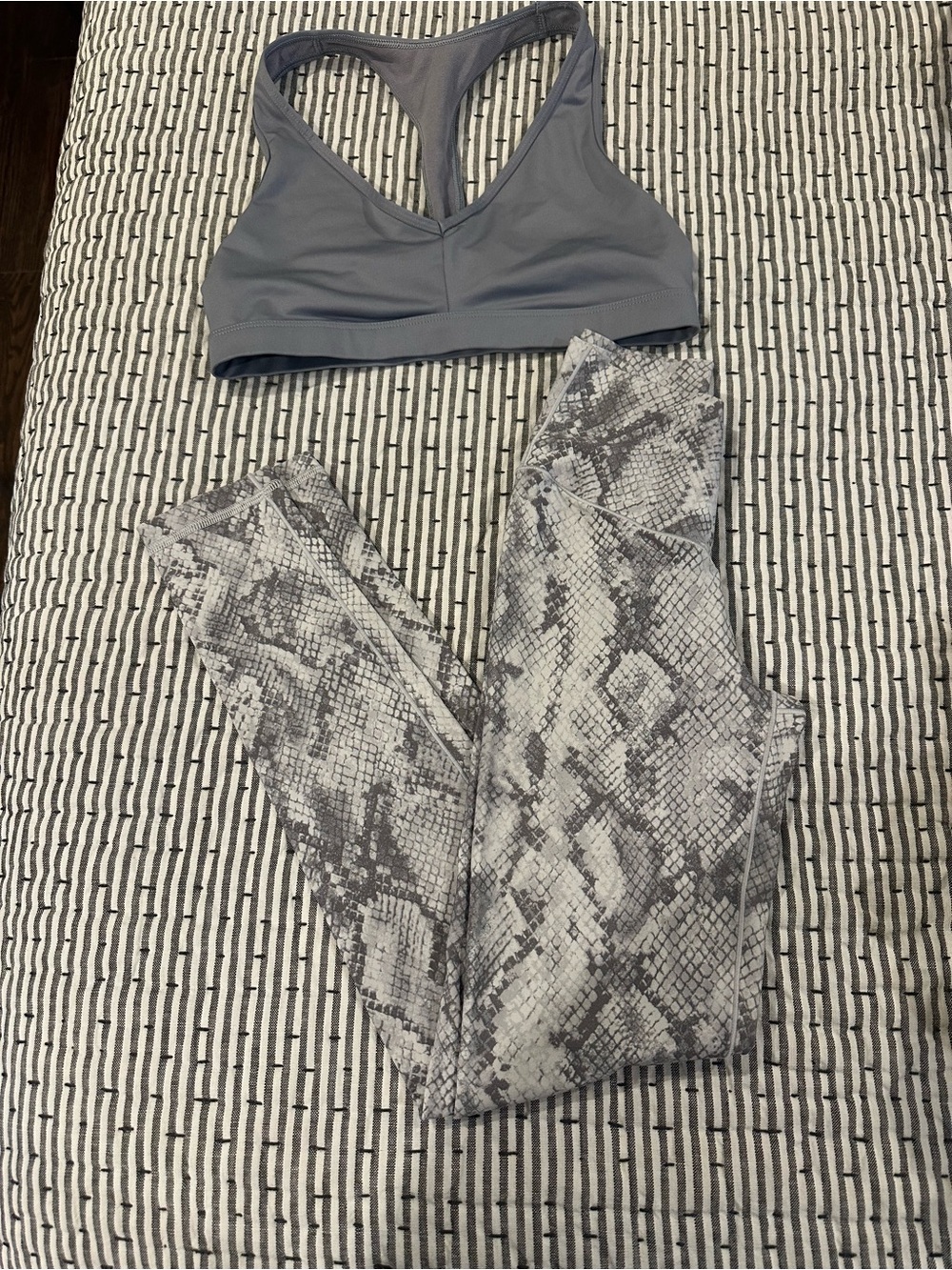 Gray Snake-Print Leggings with Matching Gray Sports Bra xs bottom and s top